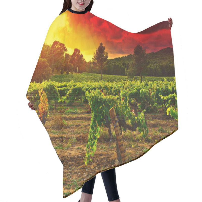 Personality  Vineyard Hair Cutting Cape