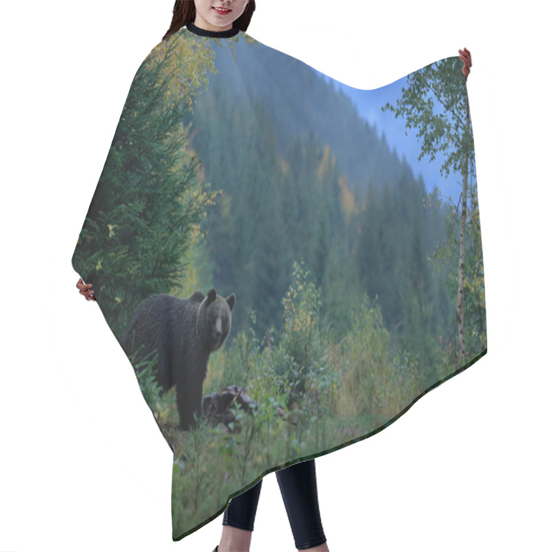 Personality  Bear Hidden In Forest Hair Cutting Cape