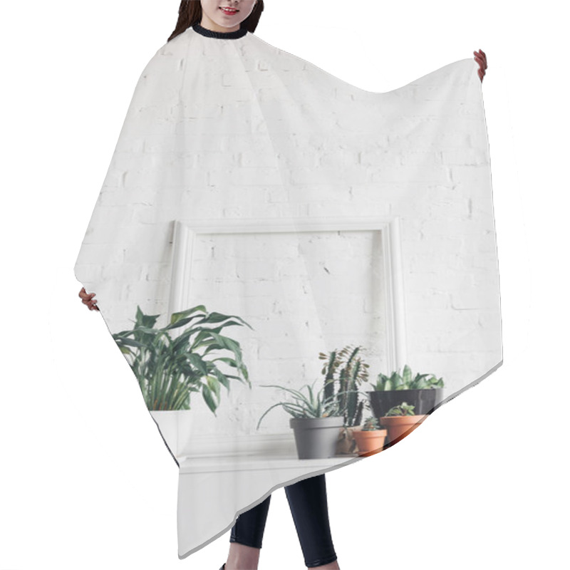 Personality  Houseplants With Empty Frame On White Table, Mockup Concept Hair Cutting Cape