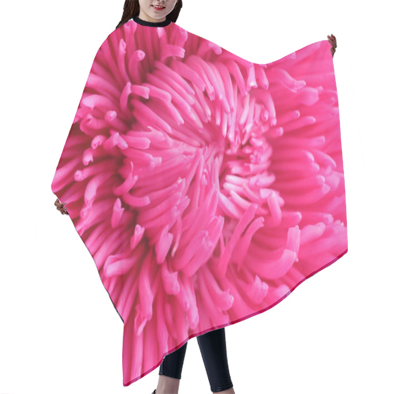 Personality  Beautiful Aster Flower As Background, Closeup View Hair Cutting Cape