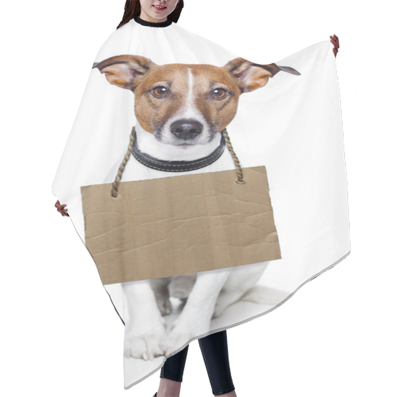 Personality  Dog With Empty Cardboard Hair Cutting Cape