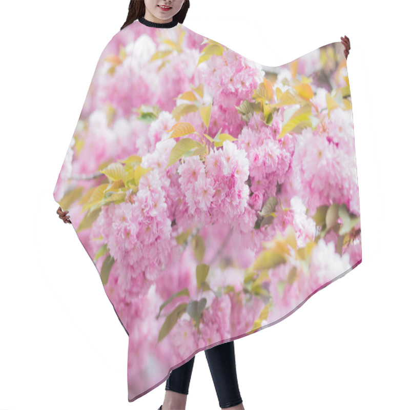 Personality  Cherry Blossom In April Hair Cutting Cape