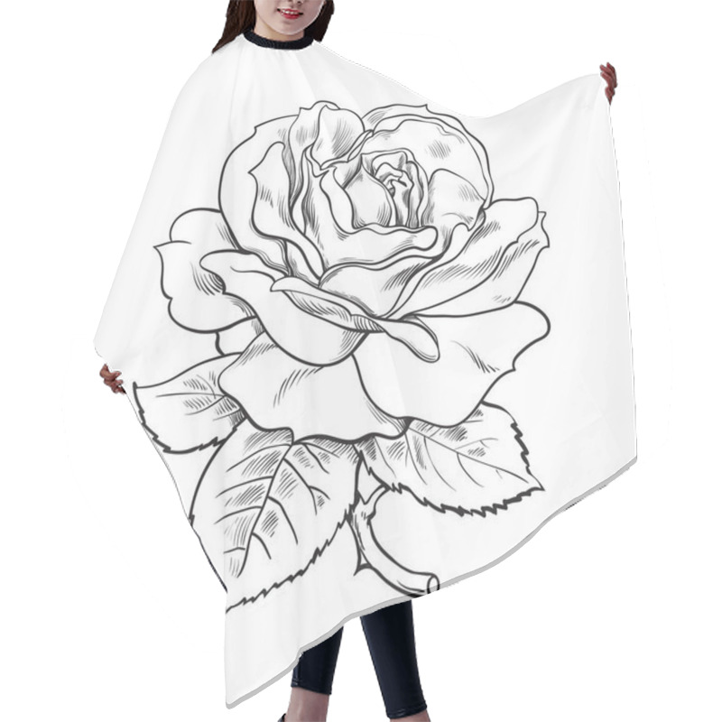 Personality  Black And White Rose Flower With Leaves And Stem. Vector Illustration Of Open Rose Bud. Hand Drawn Sketch. Hair Cutting Cape