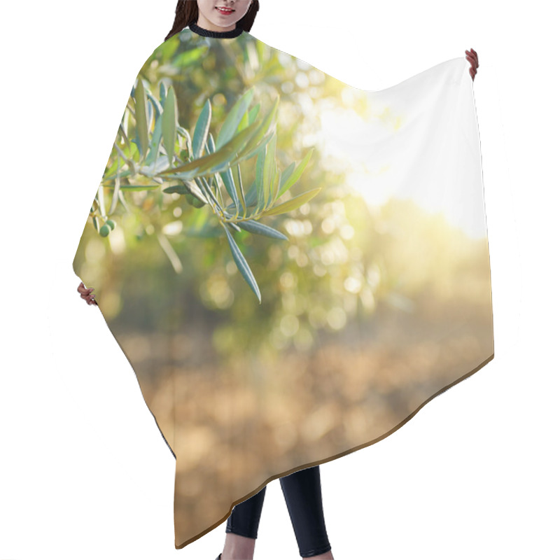 Personality  Olive Trees Garden Hair Cutting Cape