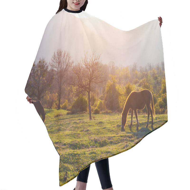 Personality  Autumn Landscape, Horses Grazing At Sunset In The Mountains Hair Cutting Cape