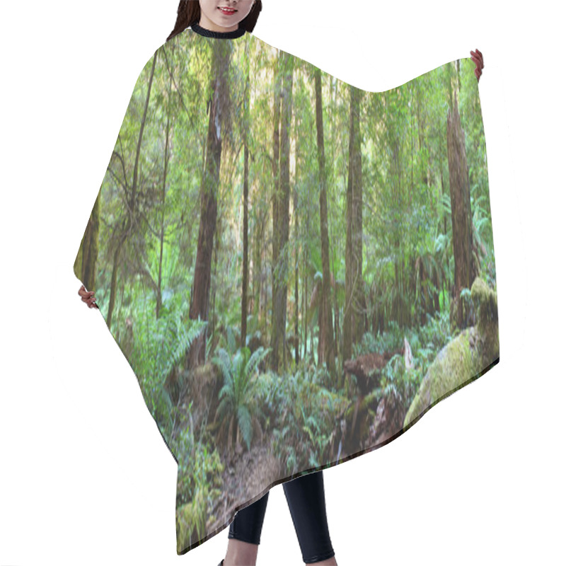 Personality  Rainforest Panorama Hair Cutting Cape