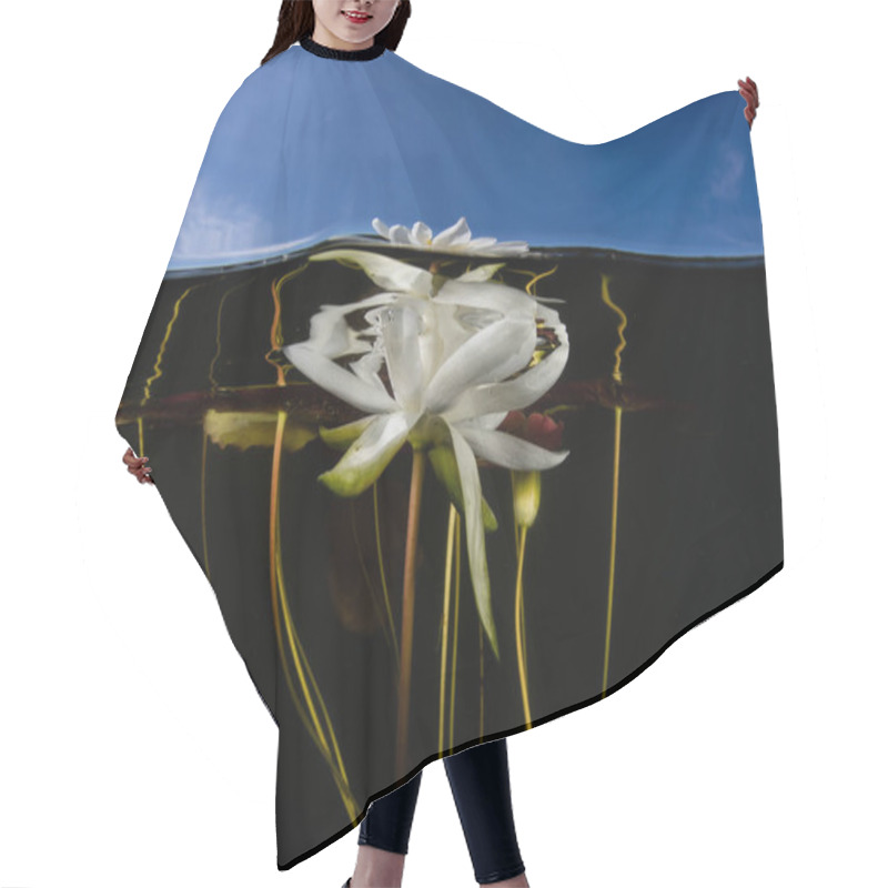 Personality  Lily Flower Underwater In Lake Hair Cutting Cape