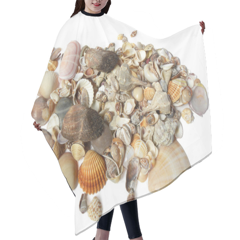 Personality  Many Different Seashells Hair Cutting Cape