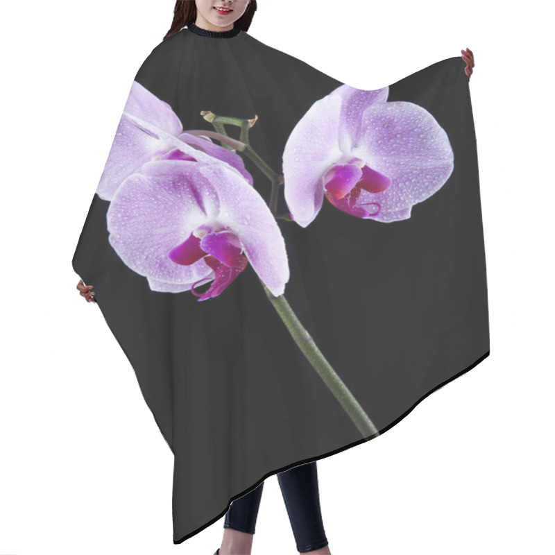 Personality  Orchid Flowers On The Water Drops Hair Cutting Cape