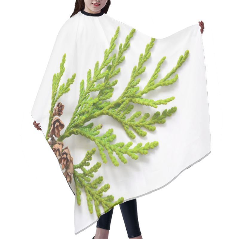 Personality  Small Cedar Branch With Tiny Pinecones Hair Cutting Cape