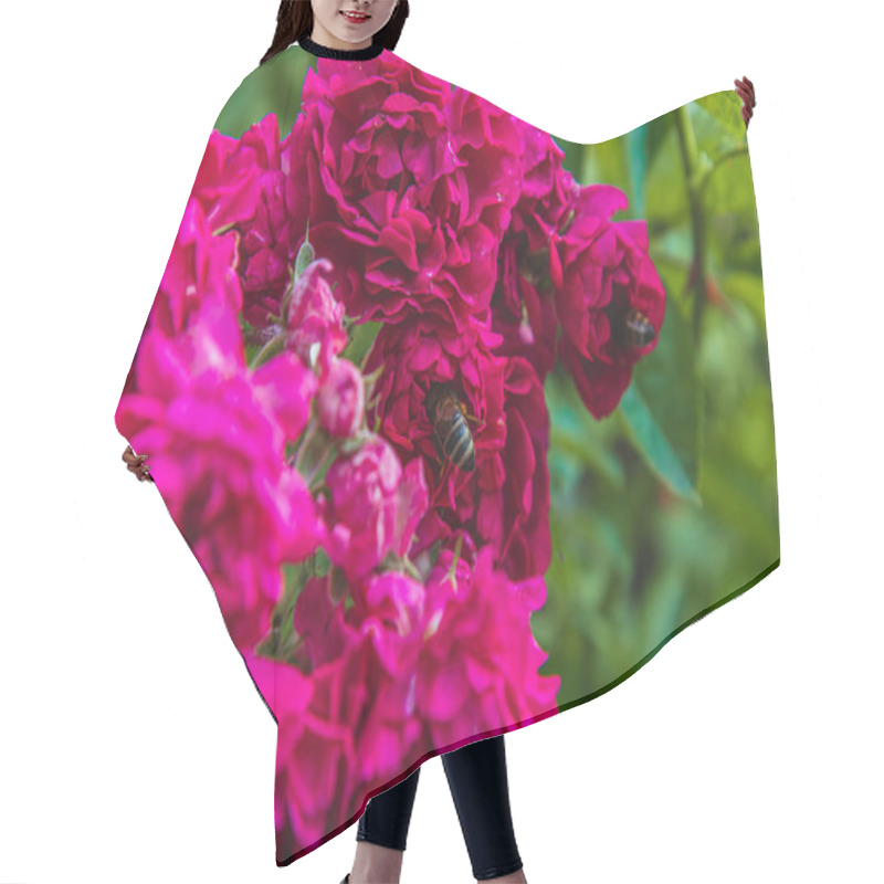 Personality  A Lush Garden Filled With Bright Pink Roses In Full Bloom. Bees Buzz Around The Flowers, Collecting Nectar On A Sunny Summer Day, Creating A Lively Atmosphere. Hair Cutting Cape