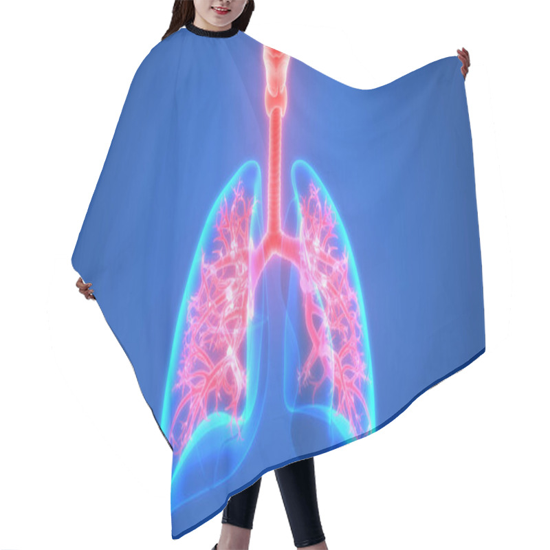 Personality  Human Respiratory System Lungs Anatomy. 3D  Hair Cutting Cape