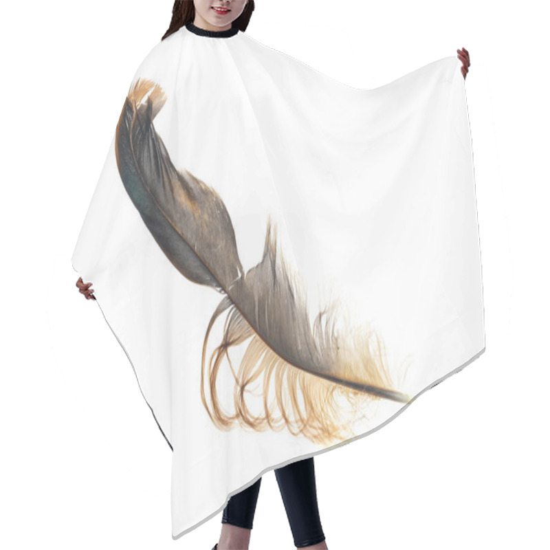 Personality  Black And Brown Feathers Of A Rooster On A White Isolated Background Hair Cutting Cape