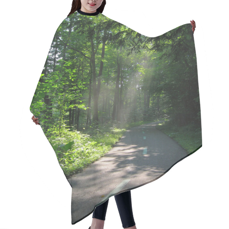 Personality  Sunlight Through Trees Hair Cutting Cape