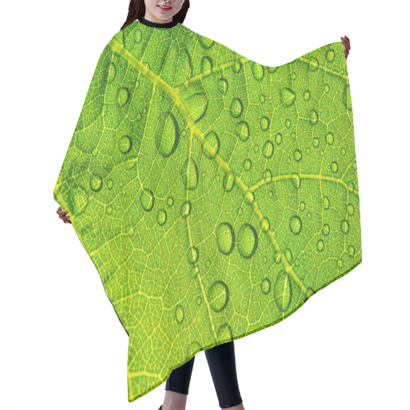 Personality  Water Drops On Fresh Green Leaf Textur Background Hair Cutting Cape