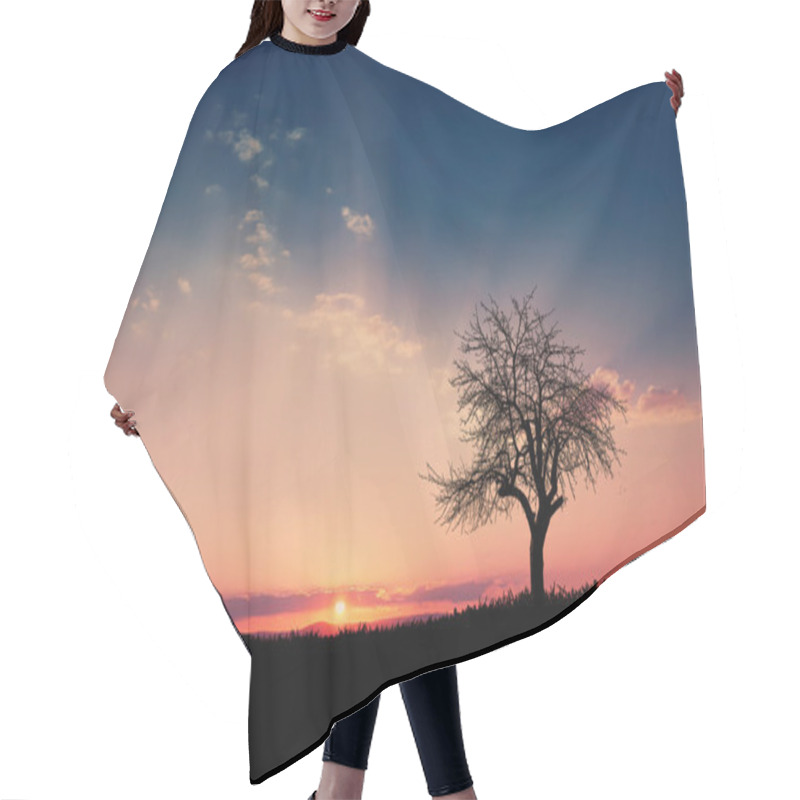 Personality  Tree At Sunset Hair Cutting Cape