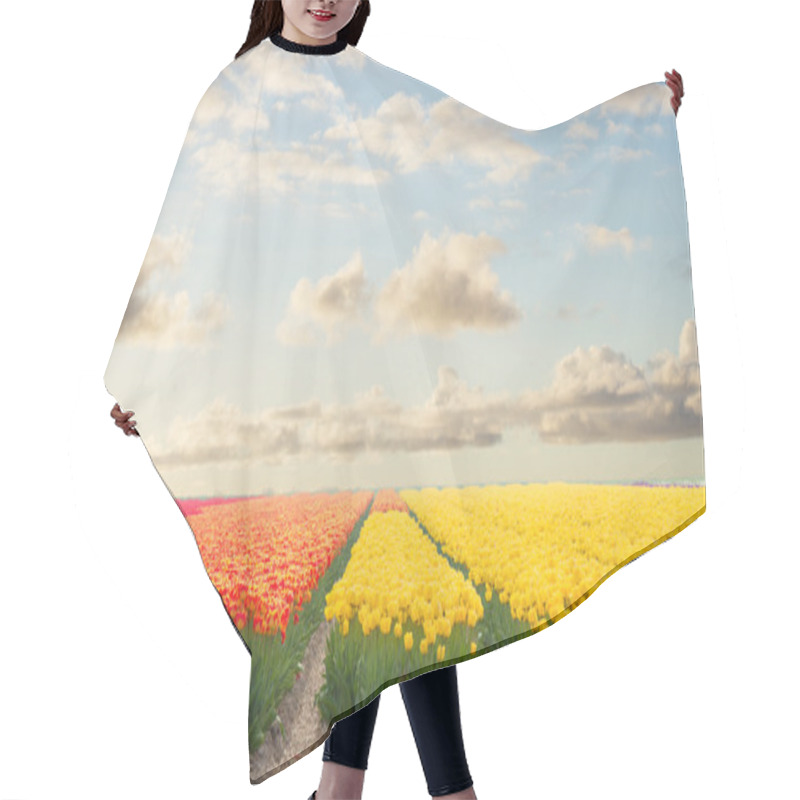 Personality  Dutch Yellow Tulip Fields In Sunny Day Hair Cutting Cape