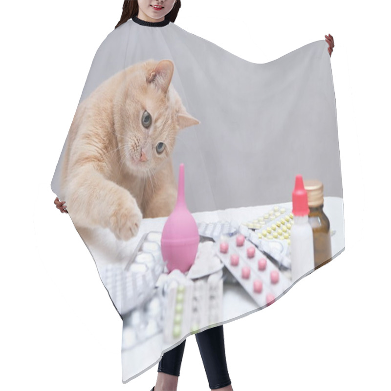 Personality  A Red-haired Cat Sitting In Front Of A Pile Of Medicines And Playing With A Rubber Medical Enema. Pet Treatment Concept. Hair Cutting Cape