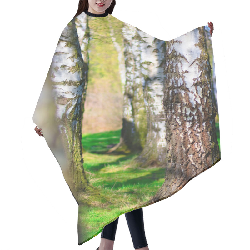 Personality  Trees Hair Cutting Cape