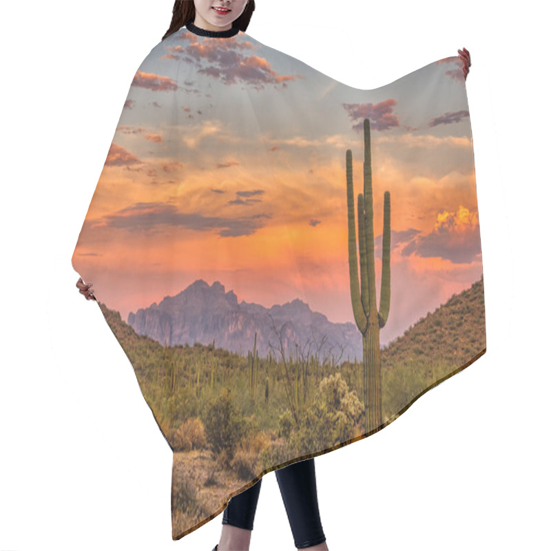 Personality  Sunset In The Sonoran Desert Near Phoenix, Arizona Hair Cutting Cape