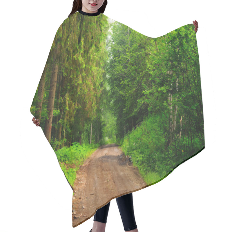 Personality  Path Of Pine And Green Fir Forest In Late Summer. Hair Cutting Cape