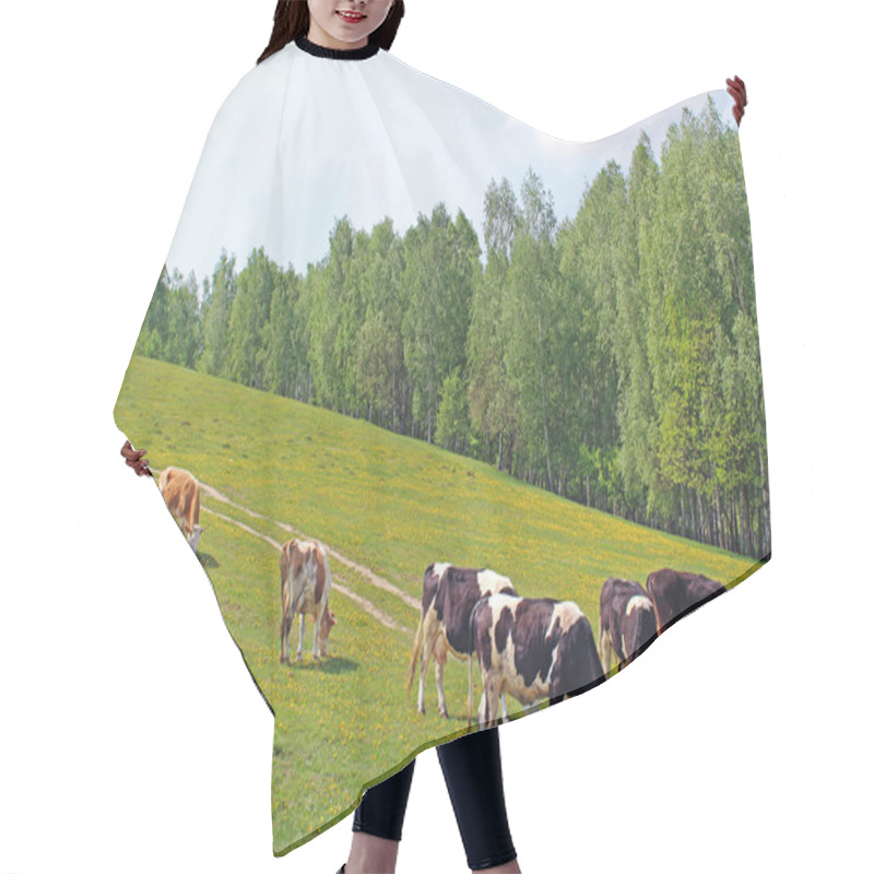 Personality  Meadow Full Of Dandelions With Grazing Cows Hair Cutting Cape