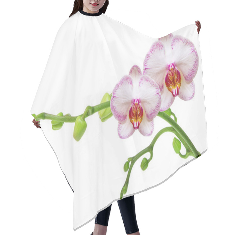 Personality  Orchid Flower Hair Cutting Cape