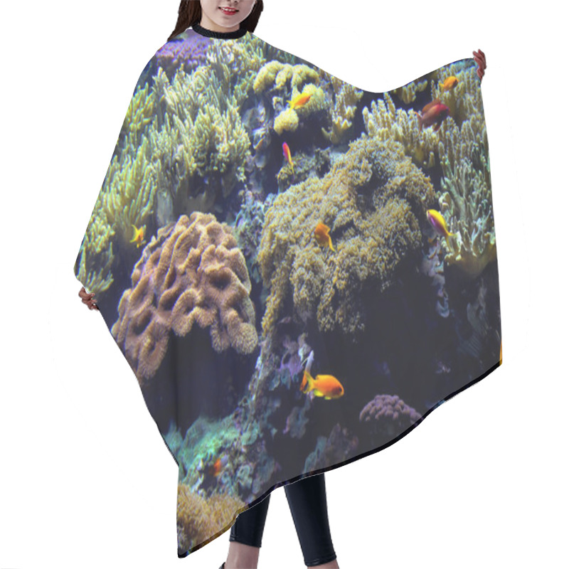 Personality  Exotic Underwater Sea Life Hair Cutting Cape