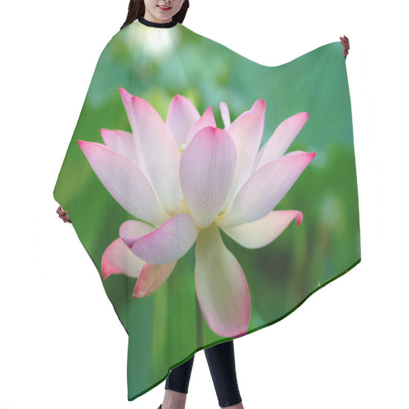 Personality  Blooming Of Lotus Flower Hair Cutting Cape