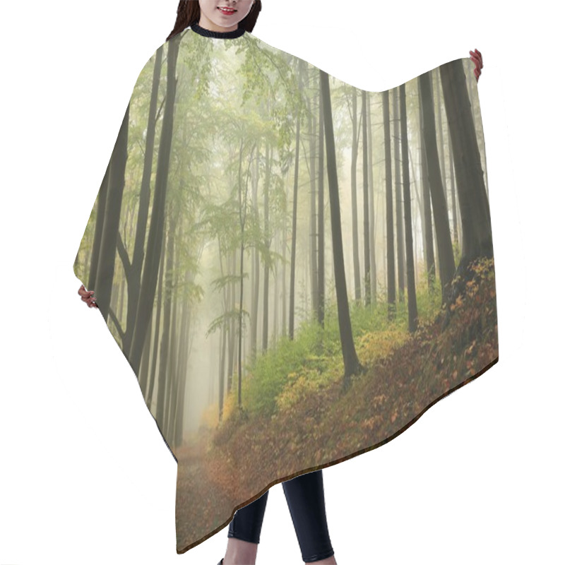 Personality  Autumnal Forest Surrounded By Fog Hair Cutting Cape