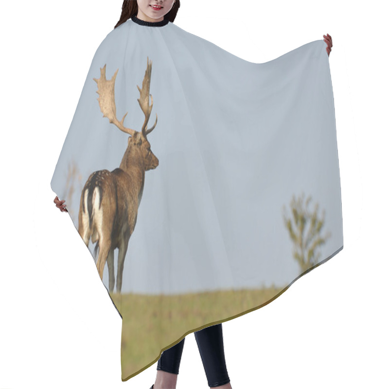 Personality  Fallow Deer Patrol Hair Cutting Cape