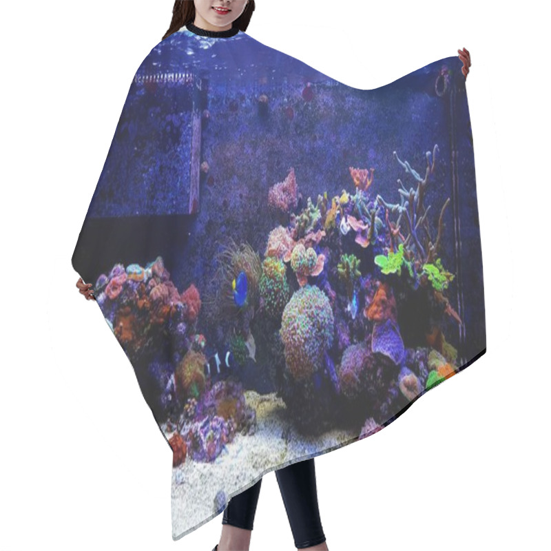 Personality  Dream Saltwater Coral Reef Aquarium Tank Hair Cutting Cape