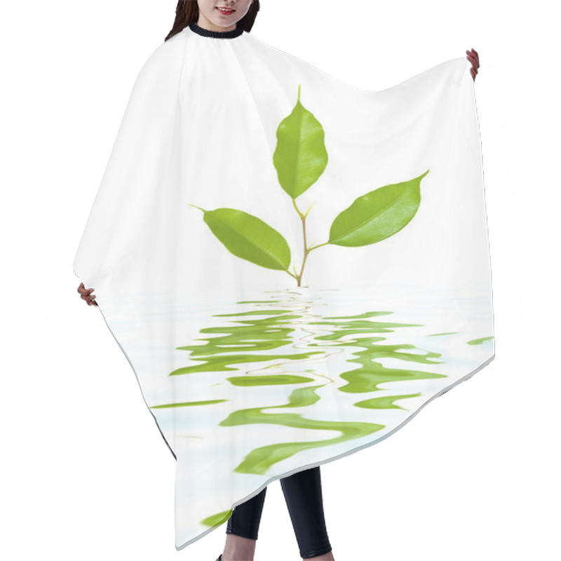 Personality  Plant In Water Hair Cutting Cape