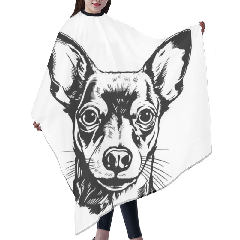 Personality  Cute Toy Terrier Dog Portrait Hand Drawn Sketch Pets Vector Illustration Hair Cutting Cape