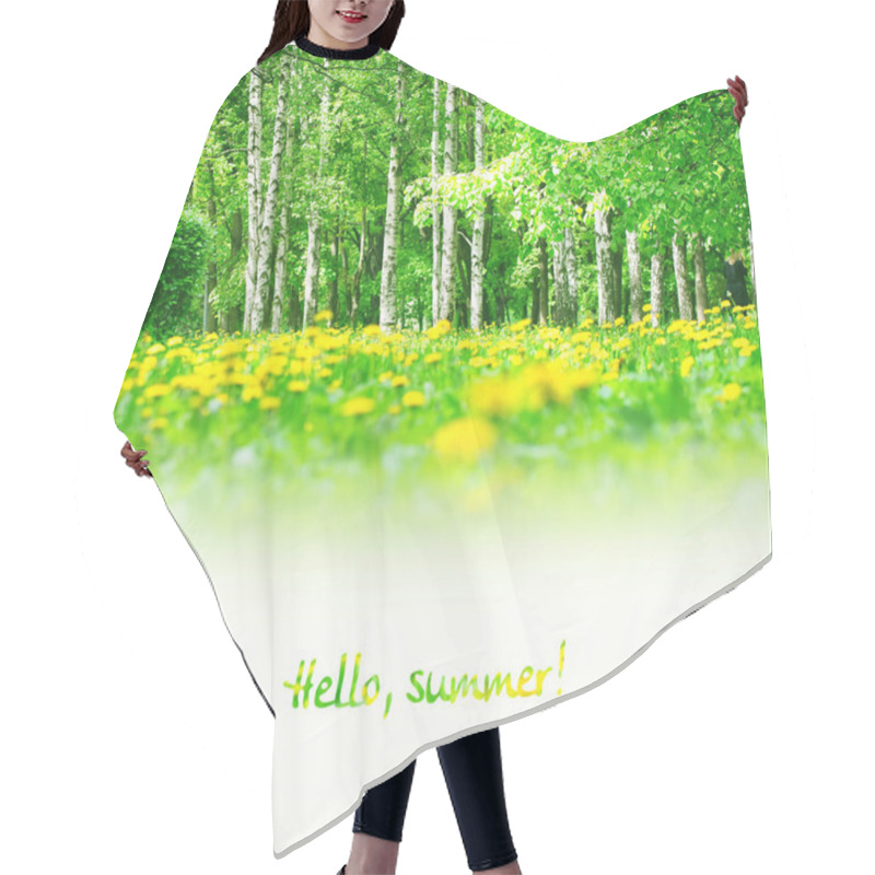 Personality  Spring Summer Background With Dandelions  Hair Cutting Cape