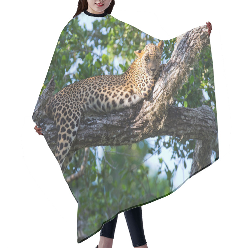 Personality  Panthera Pardus Kotiya Hair Cutting Cape