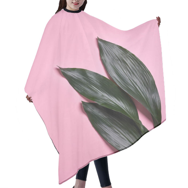 Personality  Evergreen Creative Pattern From Tropical Palm Leaf On A Pastel Pink Paper Background With Copy Space. Hair Cutting Cape