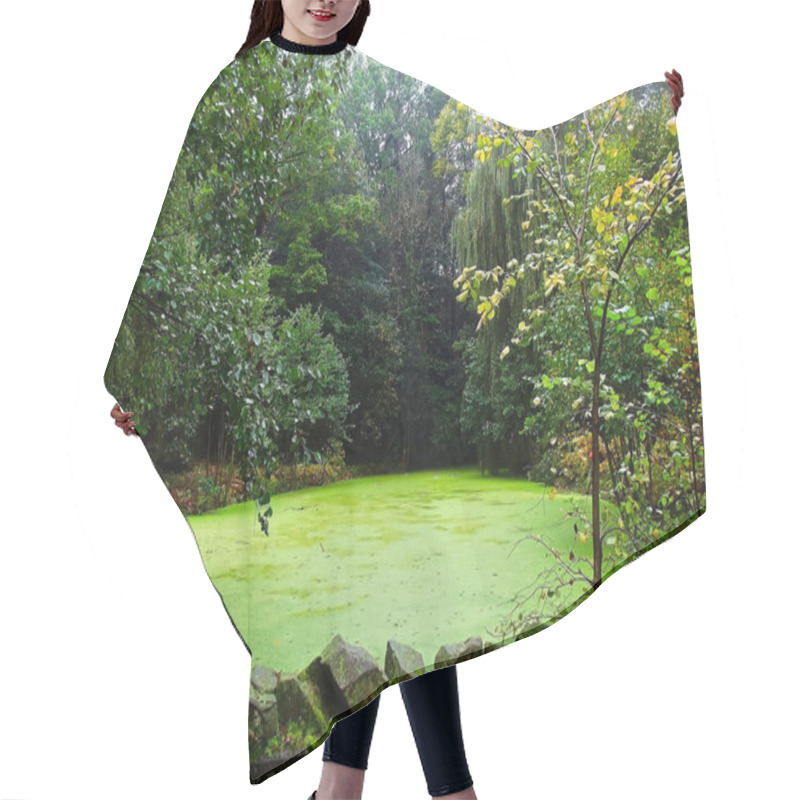 Personality  Duckweed On A Pond In Autumn Hair Cutting Cape