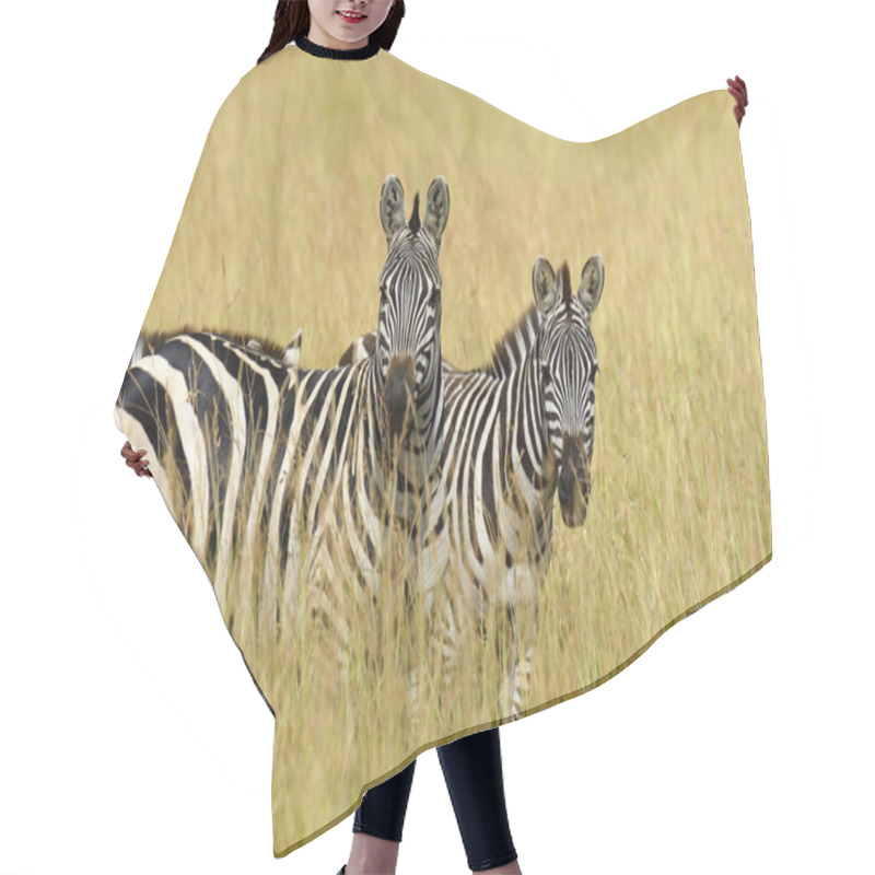 Personality  Zebra On Grassland In Africa Hair Cutting Cape