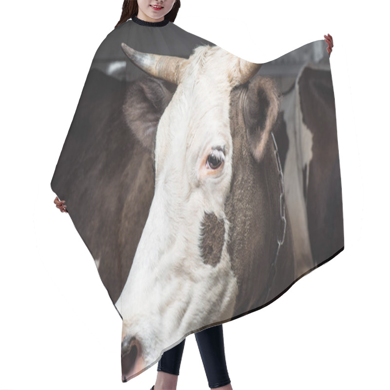 Personality  Cow Hair Cutting Cape