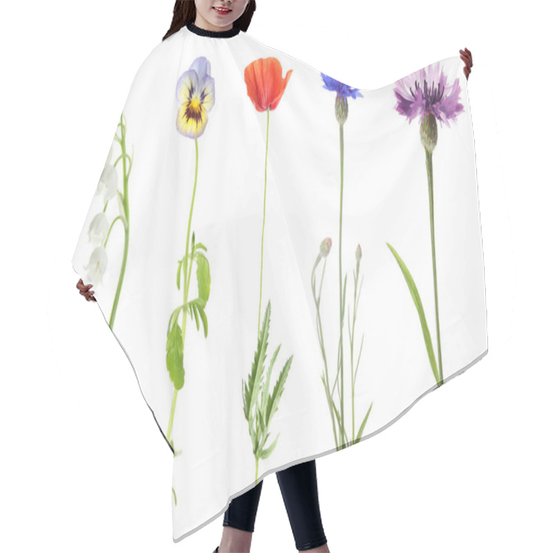 Personality  Collection Of Different Beautiful Wild Flowers On White Background Hair Cutting Cape