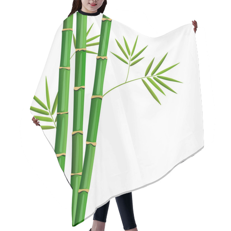 Personality  Fresh Bamboo Tree And Leaves Isolated On White Hair Cutting Cape