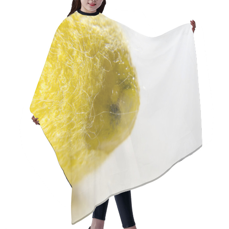 Personality  Cocoon Silk Butterfly About To Open Hair Cutting Cape