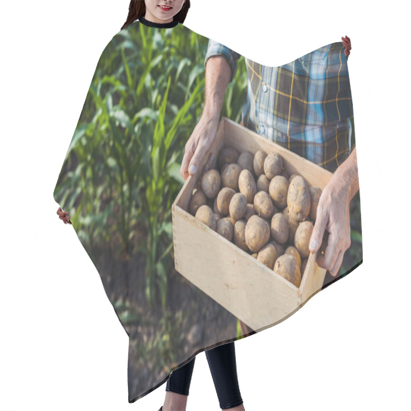 Personality  Cropped View Of Senior Self-employed Farmer Holding Wooden Box With Potatoes Near Corn Field Hair Cutting Cape