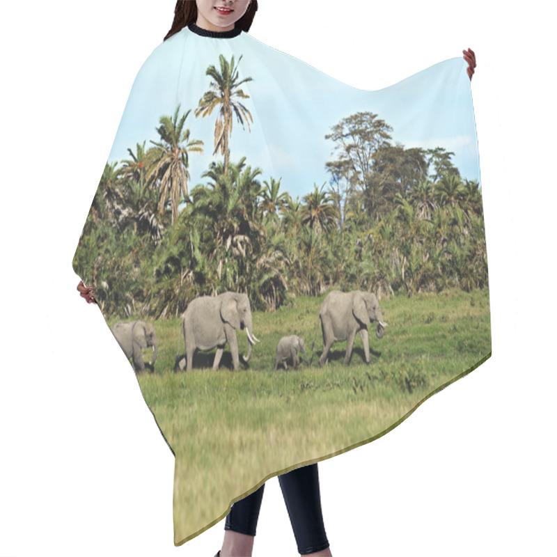 Personality  Elephants In The Savannah Hair Cutting Cape