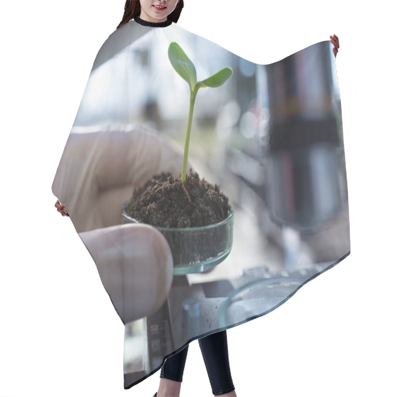 Personality  Close Up Of Biologist's Hand With Protective Gloves Holding Petri Dish With Soil And Young Plant In Front Of Microscope. Biotechnology, Plant Care And Protection Concept Hair Cutting Cape