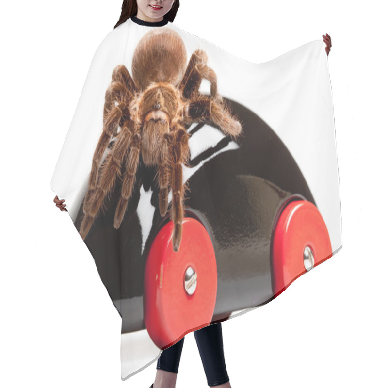 Personality  Tarantula On Toy! Hair Cutting Cape