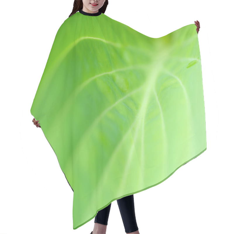 Personality  Vibrant Leaf Background Hair Cutting Cape