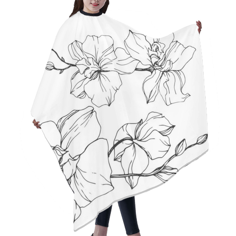 Personality  Beautiful Orchid Flowers. Black And White Engraved Ink Art. Isolated Orchids Illustration Element On White Background. Hair Cutting Cape