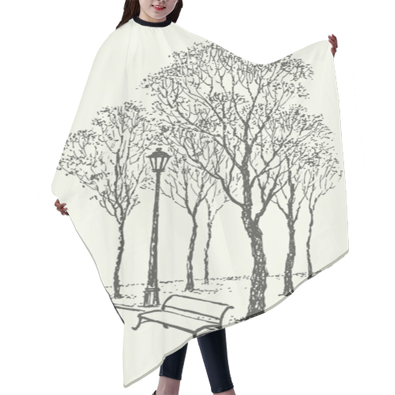 Personality  Vector Landscape. Park Bench Near The Lantern Under Trees Hair Cutting Cape